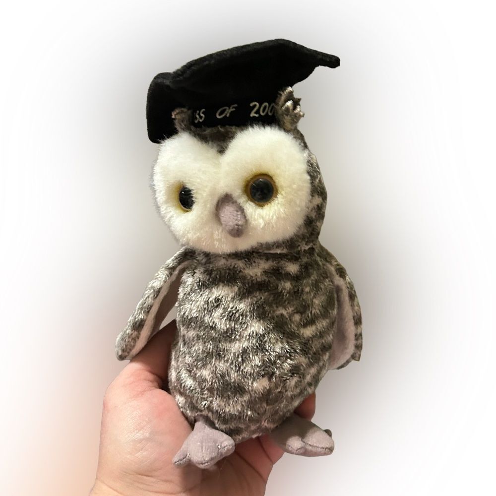 Ty Beanie Baby SMART The Owl Class Of 2001 Plush Toy NWT